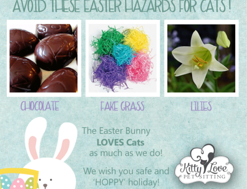 Avoid These Common Easter Dangers for Cats