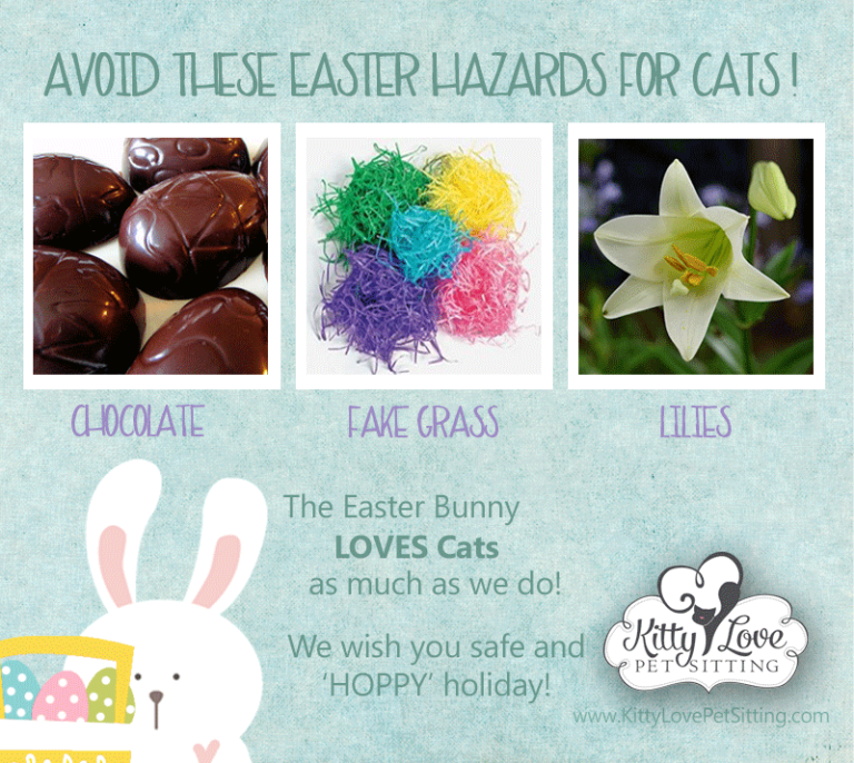 Avoid These Common Easter Dangers for Cats
